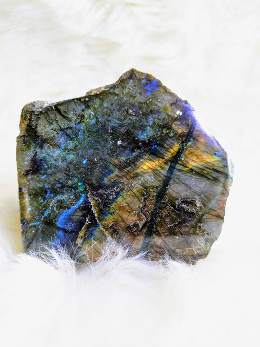 Spectroliet Labradoriet Halfgepolijste Sculptuur